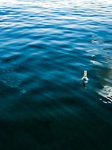 clear glass bottle on body of water thumbnail