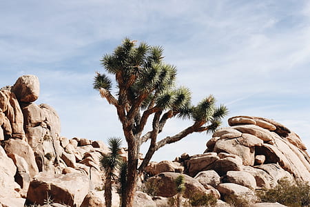 landscape photography of rock formation thumbnail