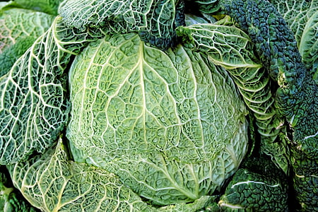 green vegetable thumbnail
