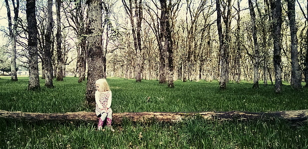 girl sitting on tree log with surrounded by trees thumbnail