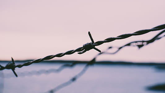 Gray Barb Wire thumbnail