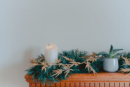 lit white candle beside green plant thumbnail