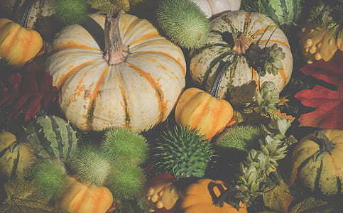 Assorted Vegetables And Fruits thumbnail