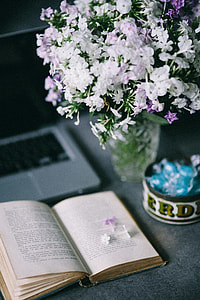 Book and blue candy thumbnail