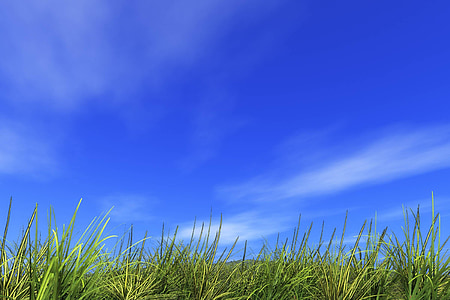 green field with clear sky background thumbnail