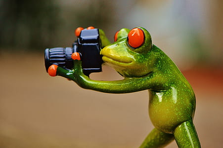 selective focus photograph of green poisonous frog holding DSLR camera thumbnail
