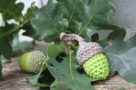 selective focus photography of knitted nut on leaf thumbnail