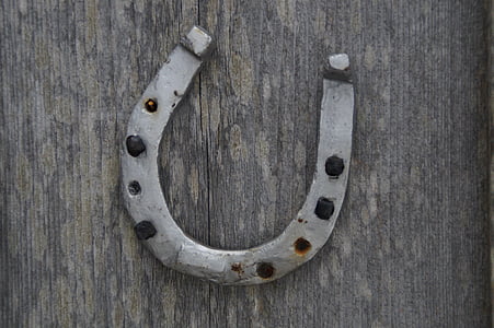 flay lay photography of gray horseshoe thumbnail