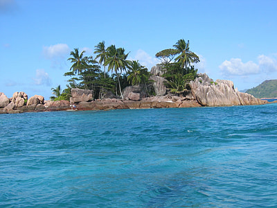 green coconut trees on gray island during daytime thumbnail