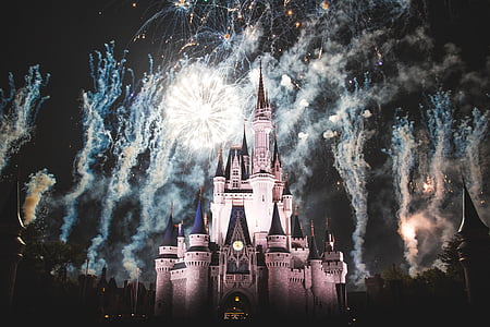 Disney Land Casstle digital wallpaper thumbnail