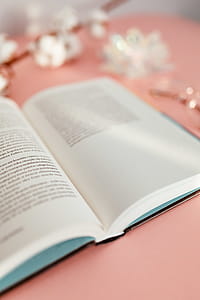 Open book on a pink background thumbnail