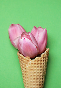 shallow photography of three pink tulips on brown ice cream cone thumbnail