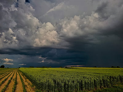 green field thumbnail