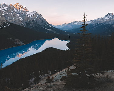 body of water surrounded by trees thumbnail