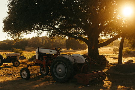 white and black tractor beside tree thumbnail