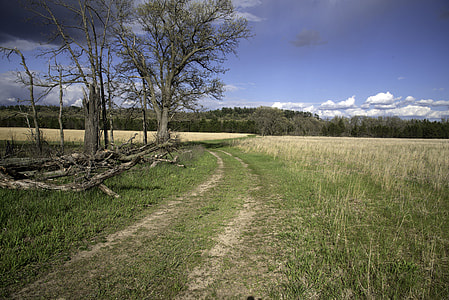 Trail landscape at Quincy Bluff, Wisconsin thumbnail