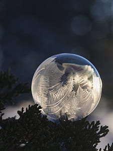 frosted bubble on leaf thumbnail