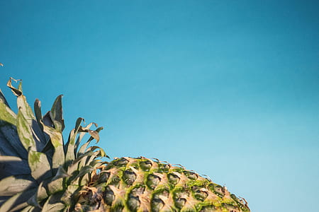 Focus Photography of Pineapple Fruit thumbnail