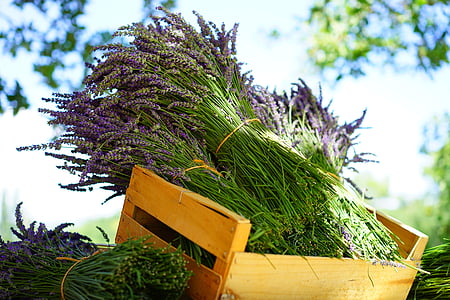 bundle of lavender flowers on yellow wooden crate thumbnail