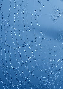 Spider Web With Water Droplets thumbnail