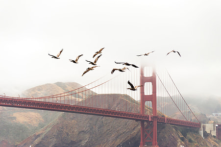 San Francisco bridge thumbnail