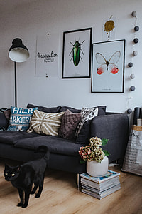 Designer living room interior with a wooden box table and a light blue carpet thumbnail
