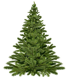 green pre lit tree thumbnail
