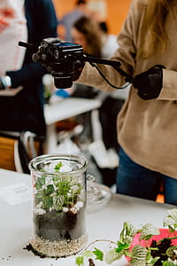 Building Rainforest Terrarium in a Jar thumbnail