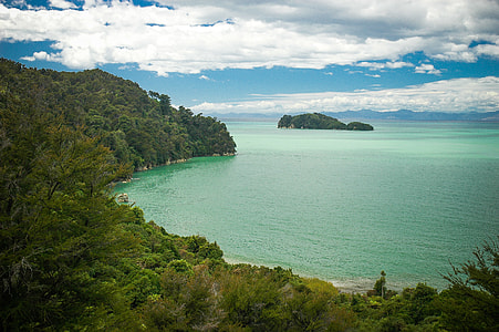 Forest Bay with Little Island thumbnail