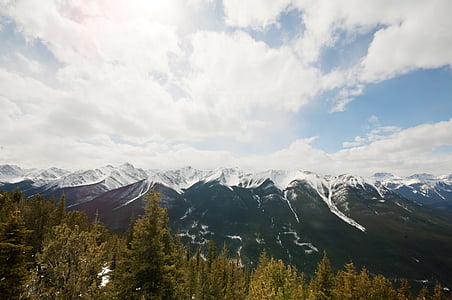 mountain alps beside forest thumbnail