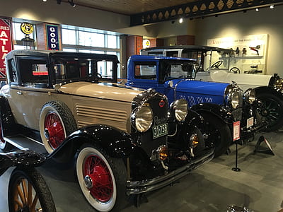 Assorted Vintage Cars in a Well Lighted Room thumbnail