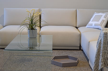 potted green spider plant centerpiece on clear glass coffee table thumbnail