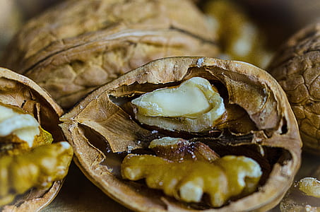 walnuts in close-up photography thumbnail