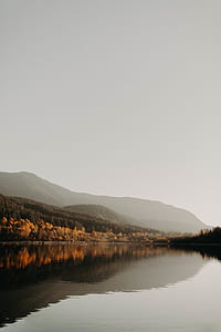 brown and green leaf trees beside body of water under cloudy day thumbnail