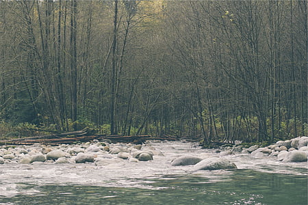 gray stones with trees and body of water thumbnail