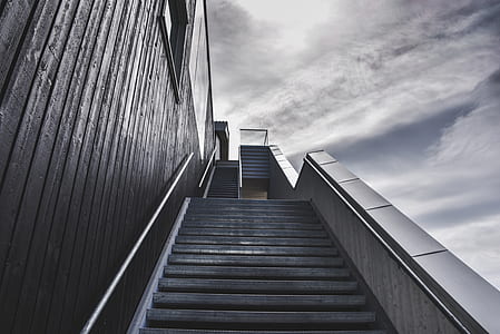 low angle photo of empty stairway thumbnail