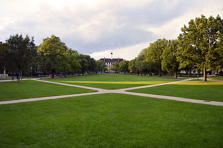 green grass field thumbnail