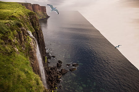 white bird flying through waterfalls thumbnail