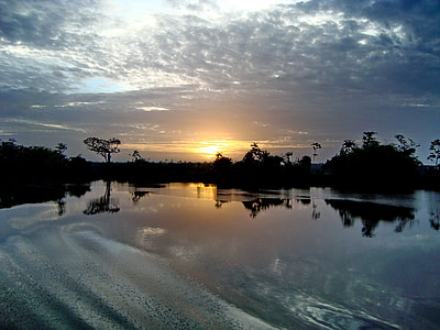 Gayana, The River Demerara thumbnail