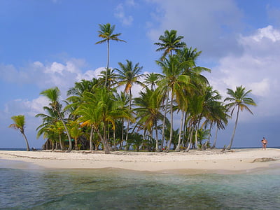 person standing near coconut trees on islet thumbnail