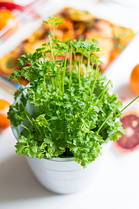 Fresh parsley and oranges thumbnail
