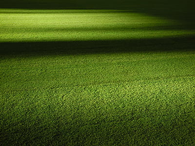 green lawn yard thumbnail