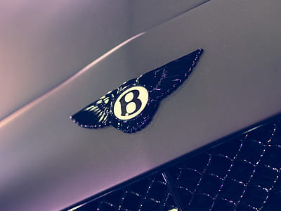 Betley logo thumbnail