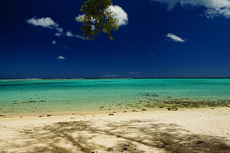seashore thumbnail