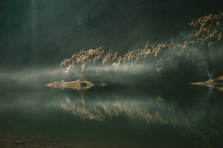 reflection photography of trees near body of water thumbnail