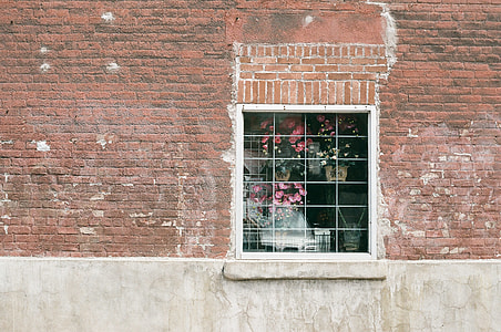 white window near pink flowers during daytime thumbnail