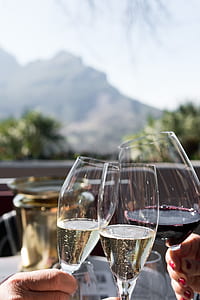 people drinking wines during daytime thumbnail