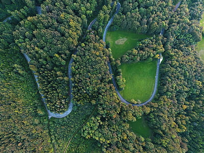aerial photography of road surrounded with green trees thumbnail
