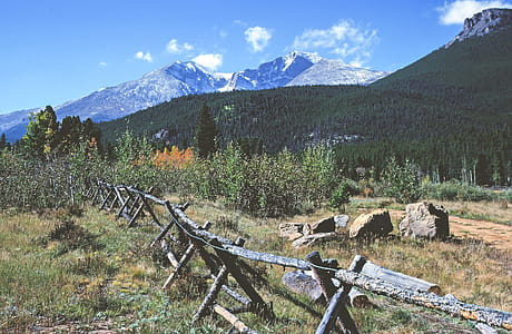 View of log fence in the forest. Vintage look. thumbnail