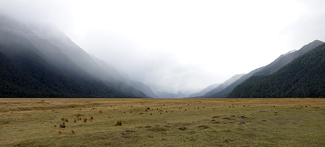 grass field between valley thumbnail